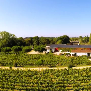 Eat among the vines at La Table de la Bergerie!