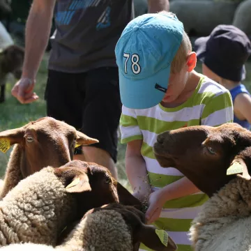 Nature trail in Marais Poitevin Regional Nature Park 