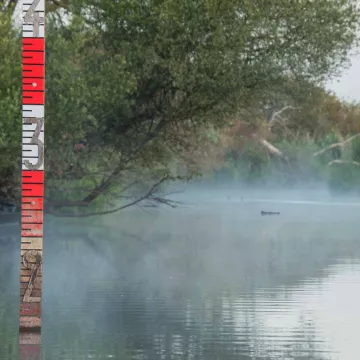 The Lac de Grand-Lieu, a paradise for birds