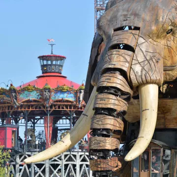 Tame the Machines de l'île!