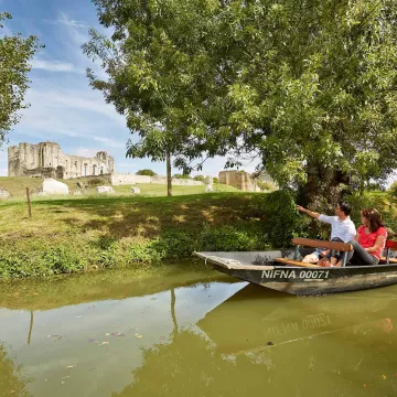 Explore Green Venice!