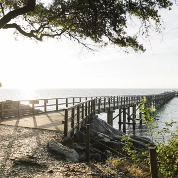 Authentic gourmet getaway in Noirmoutier, between land and sea 