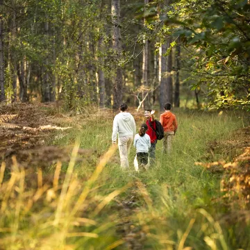 An unusual itinerary through history and local produce in the Perche Sarthois region