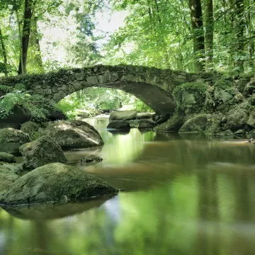 Pontmain, between contemplation and inspiration 