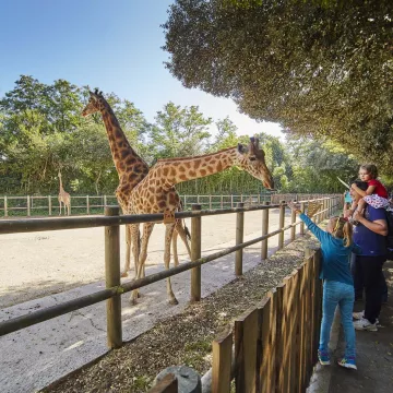 Super-natural outings in Sables d'Olonne