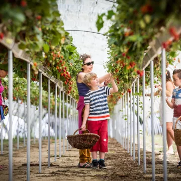 Destination Pornic: succumb to local produce