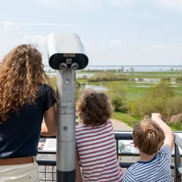 A trip around Lac de Grand-Lieu, in bird country