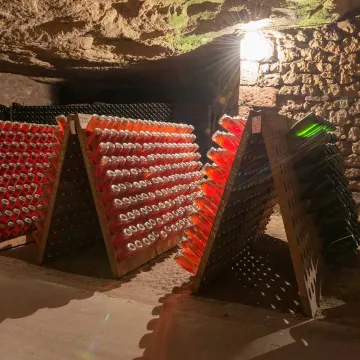 Unique visits to fine sparkling wine houses