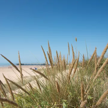 A warm welcome, information and help : "Welcome c'est beau ici" 