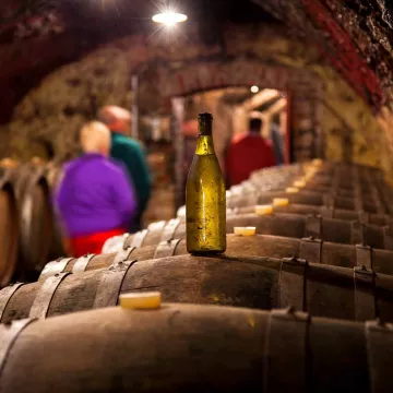 Explore the Loir Valley and discover its fruity white wines