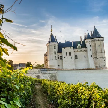Enjoy a moment of escape with a visit to the Château de Saumur