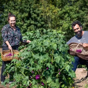 Labels for farm and vineyard tourism in Pays de la Loire