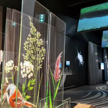 Two places to visit in and around Saint-Nazaire!