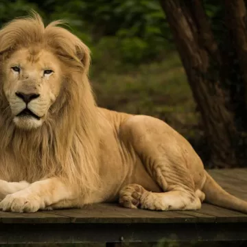 Refuge de l'Arche - Paul Veillon