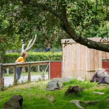 Office de Tourisme Vallée de la Sarthe /Stevan