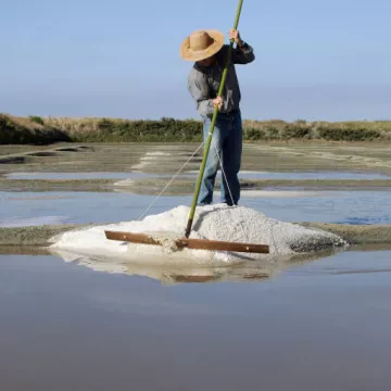 Crédit photo Terre de Sel / Photo Pascal François