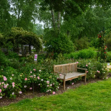 C. Poulin - Les Chemins de la Rose