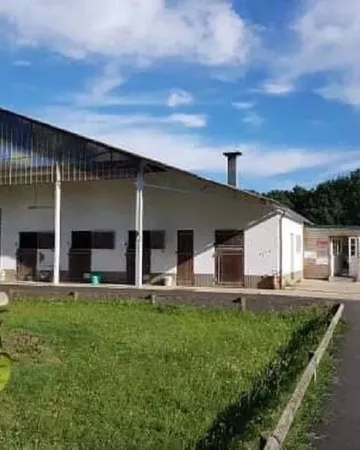 club_hippique_le_mans