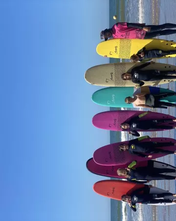 LES ROBINS DES VAGUES