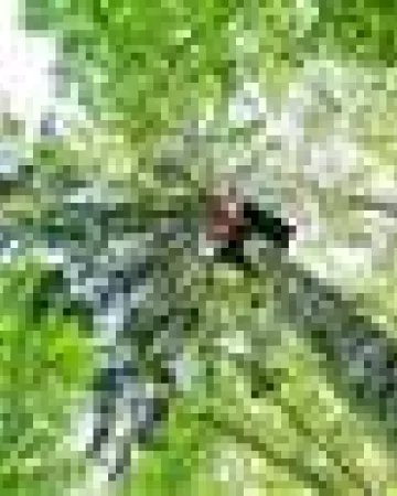 Frédéric Coquemont FREDERIC C FOTOGRAFIE