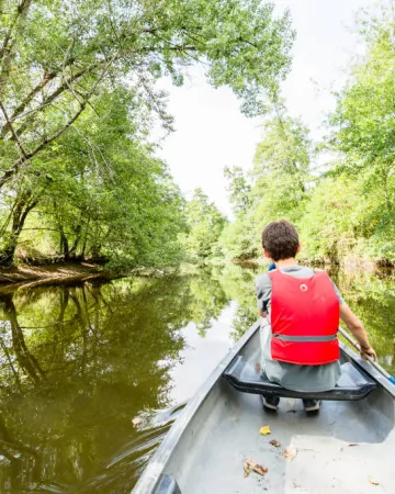 Frédéric Coquemont 