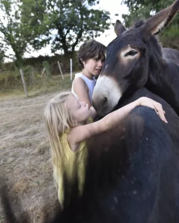 Pascal Beltramie - Mayenne Tourisme