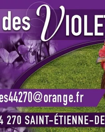 ©GAEC-Violettes