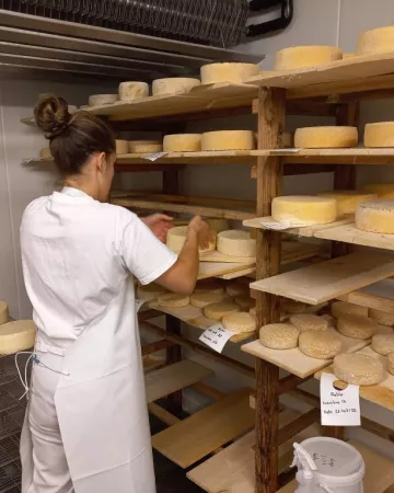 la petite ferme de breil