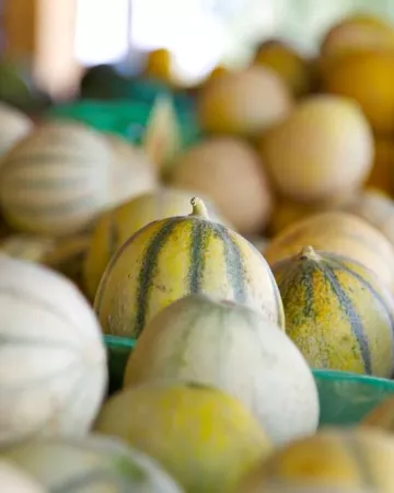 ©office-de-tourisme