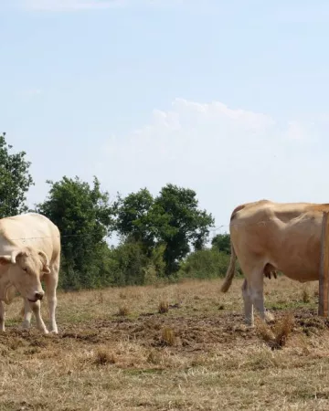 Office de Tourisme Vie et Boulogne