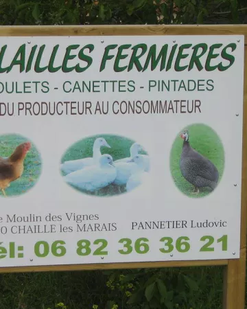 PannetierL