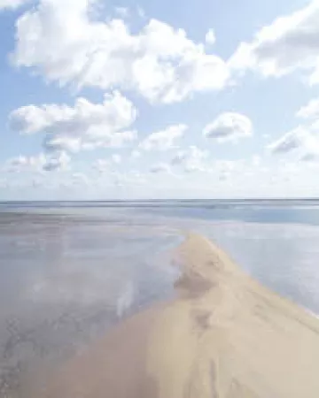 RNN Baie de l'Aiguillon