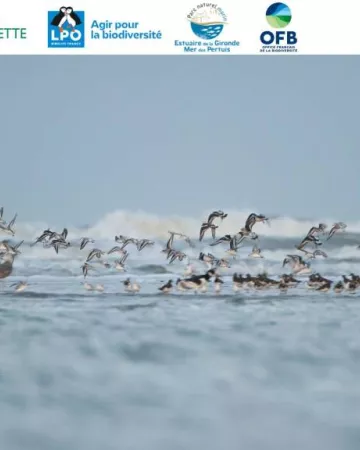 Cassandre Blondel RNN BH