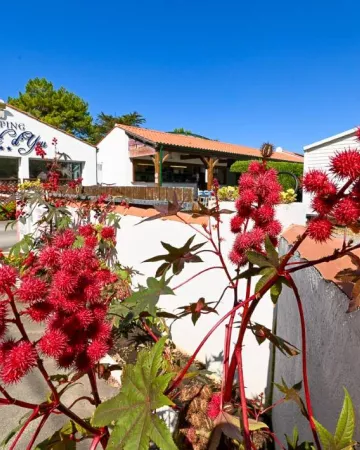 Camping le Pont d'Yeu