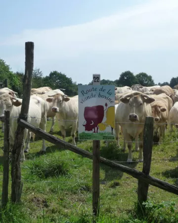 ©CDC Maine Saosnois