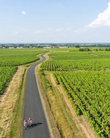 ©Valéry Joncheray photographe pour OTVN