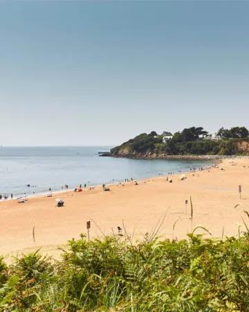 SNAT / Alexandre Lamoureux