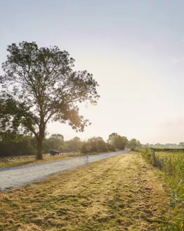 Alexandre Lamoureux / Saint-Nazaire Renversante