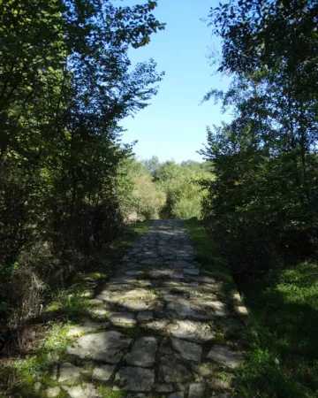 © Point d'informations touristiques de Chemillé-en-Anjou