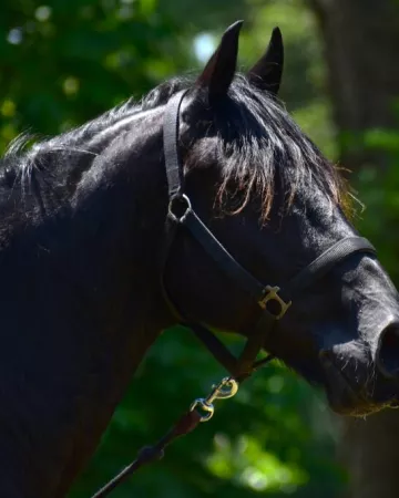 Amélie Vialla - Pexels