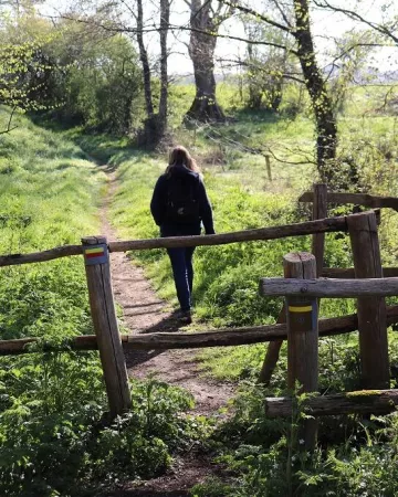 ©claire-bodin_OTlesherbiers