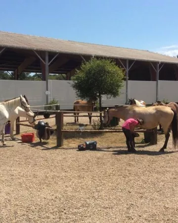 Domaine Équestre de Quérélo
