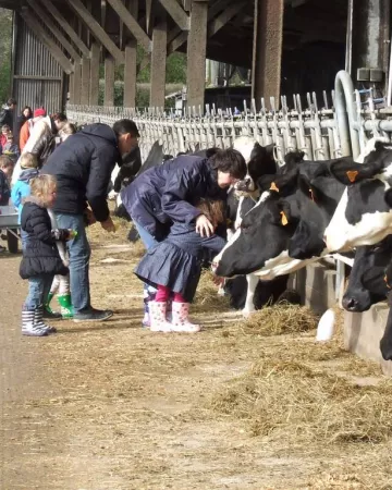 ferme de la pequiniere