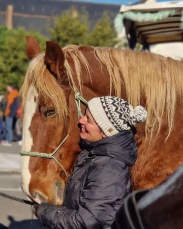 Les attelages de l'erdre