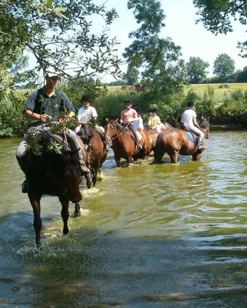 ©Centre équestre La Gosnière - Le Lion d'Angers