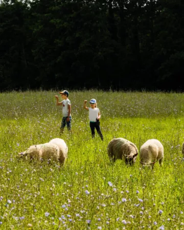 ©Villette_en_Direct-CP-Pascal_BELTRAMI_-_Mayenne_Tourisme