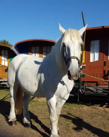 LES ROULOTTES DU SUD VENDÉE