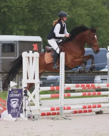 Domaine de la Thibaudiere 