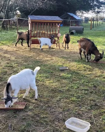 Au Coeur de chez Vous