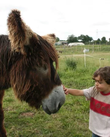 la ferme du Forsdoff